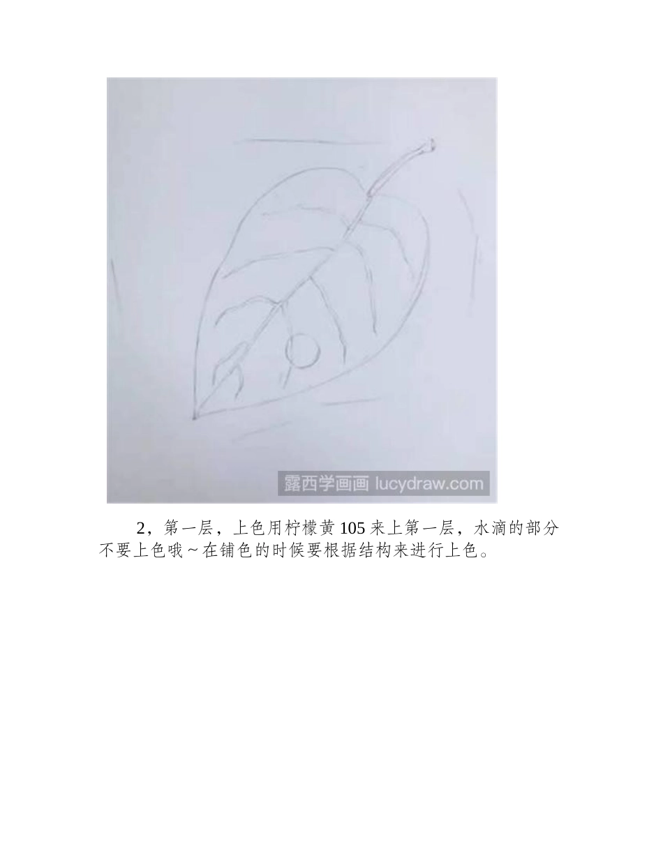 绿叶彩铅画教程彩铅画教程_第2页