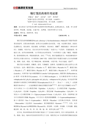 锦灯笼的药理作用述要