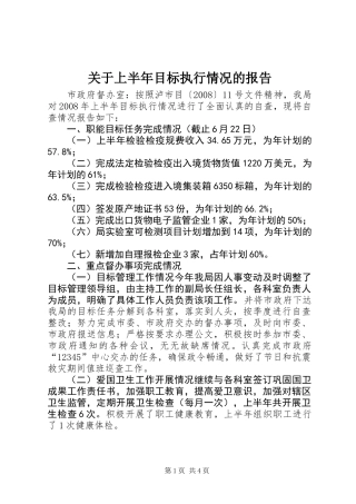 关于上半年目标执行情况的报告