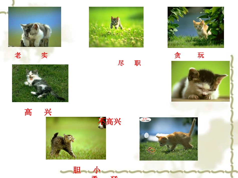 《猫》 (2)_第2页