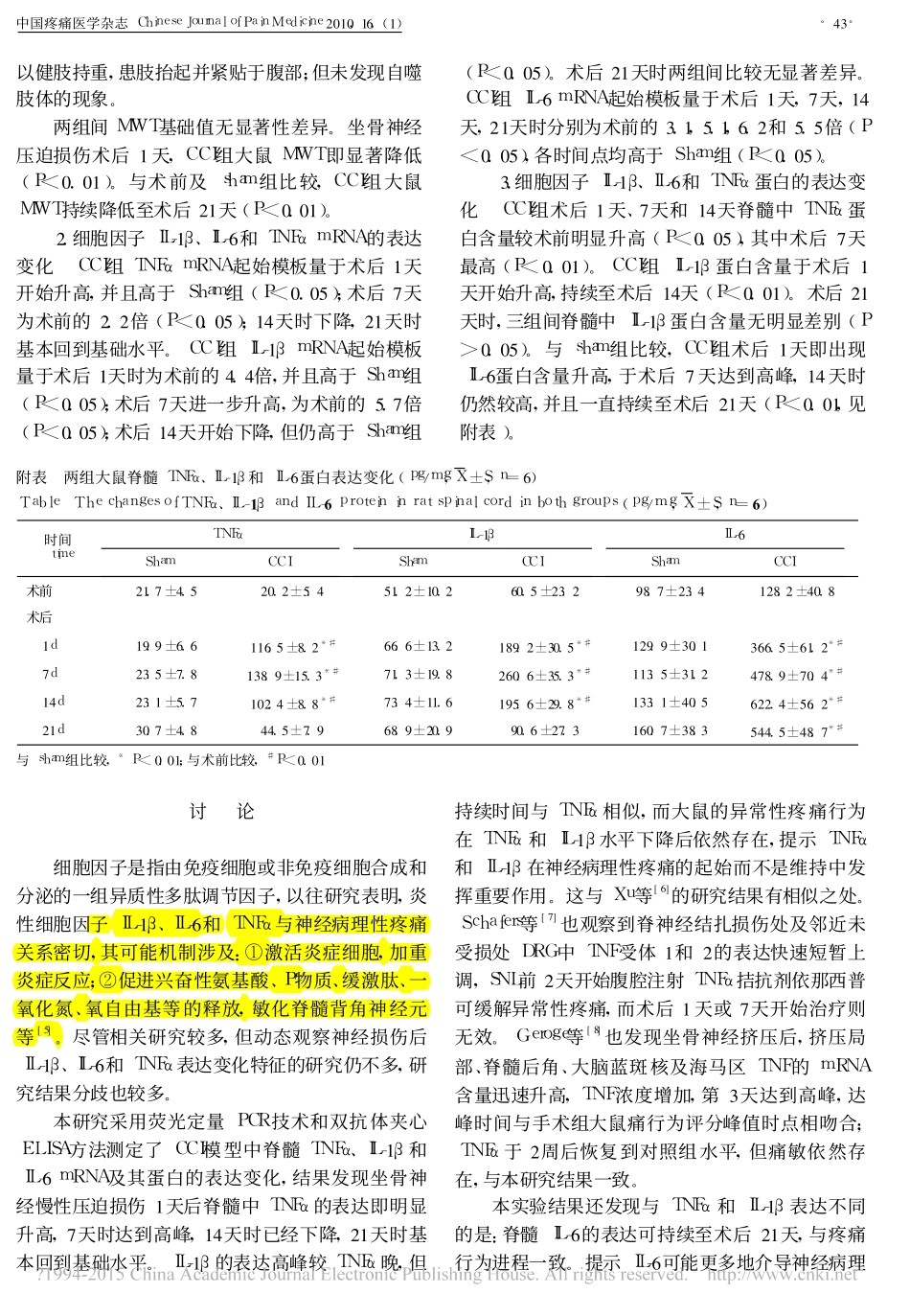 脊髓TNF_IL_1_和IL_6在神经病理性疼痛过程中的表达变化_钟敏_第2页