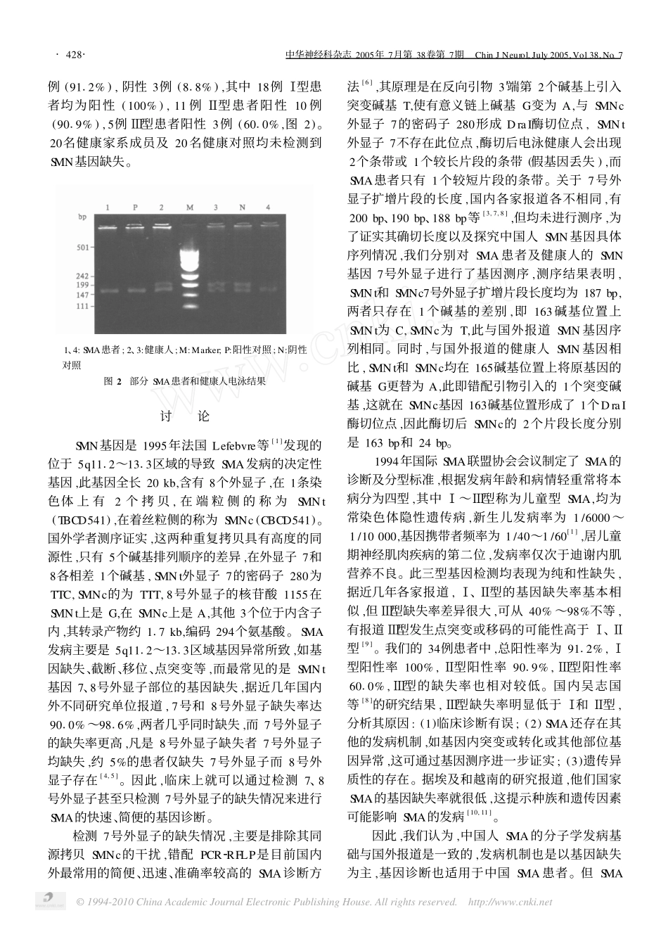 脊髓性肌萎缩症基因诊断_第3页