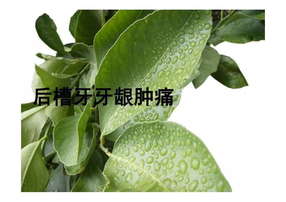 后槽牙牙龈肿痛_第1页