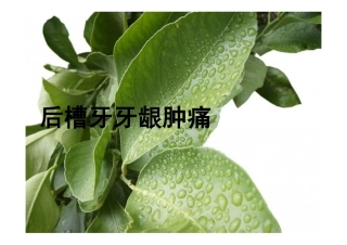 后槽牙牙龈肿痛