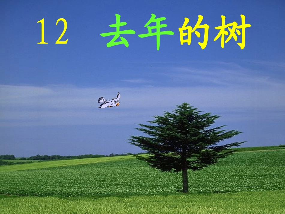 去年的树lhsx_第1页
