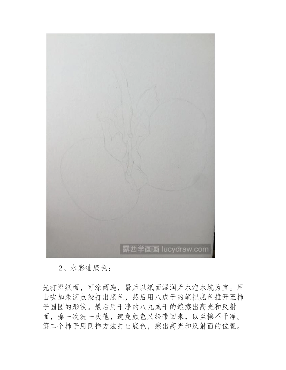 两颗柿子彩铅画教程彩铅画教程_第2页