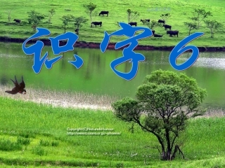 二年级语文下册识字6第一课时课件