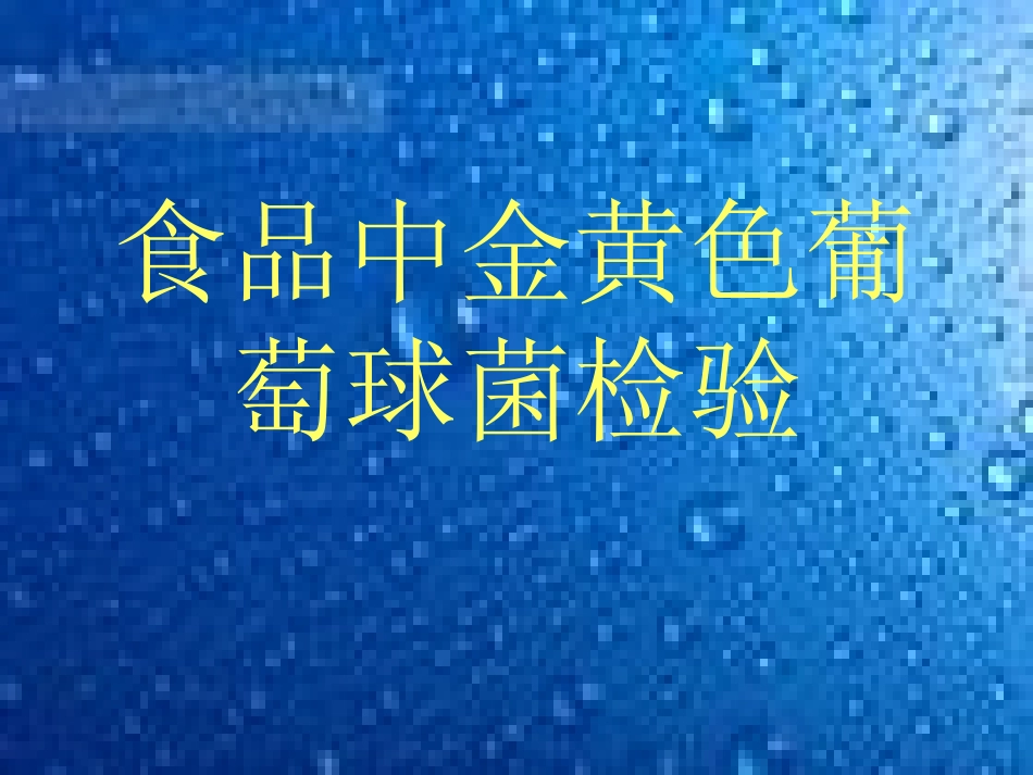 金黄葡萄球菌的检验_第1页