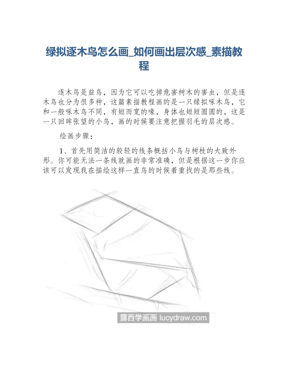 绿拟逐木鸟怎么画_如何画出层次感_素描教程_第1页