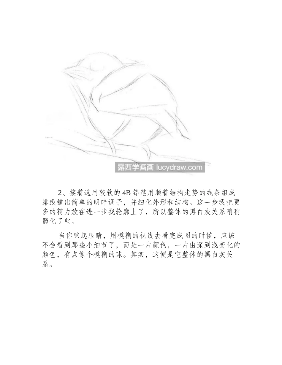 绿拟逐木鸟怎么画_如何画出层次感_素描教程_第2页