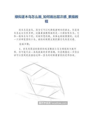 绿拟逐木鸟怎么画_如何画出层次感_素描教程