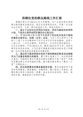 供销社党的群众路线工作汇报