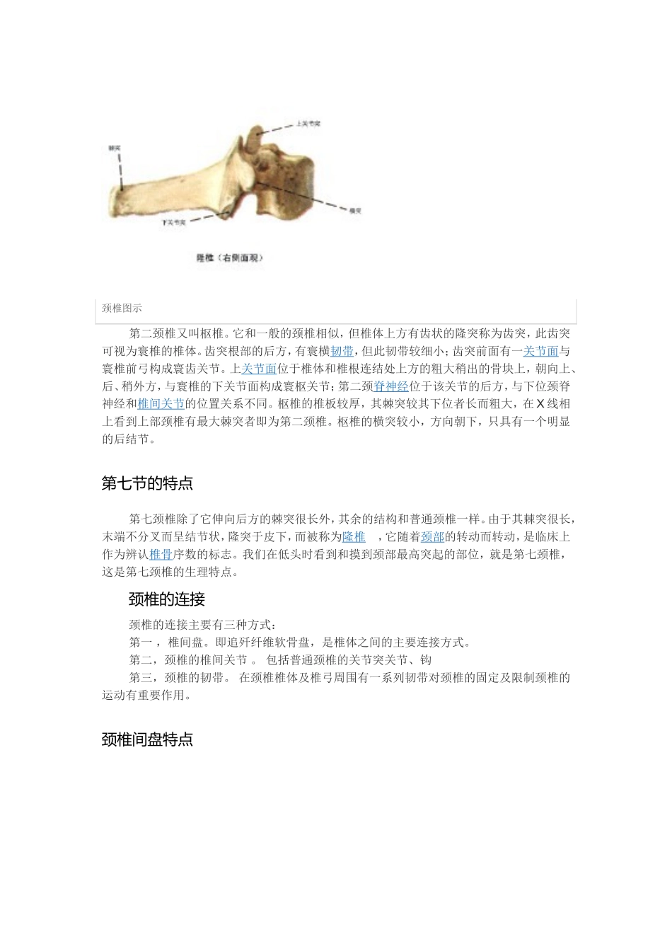 颈椎病的生理和解剖_第2页