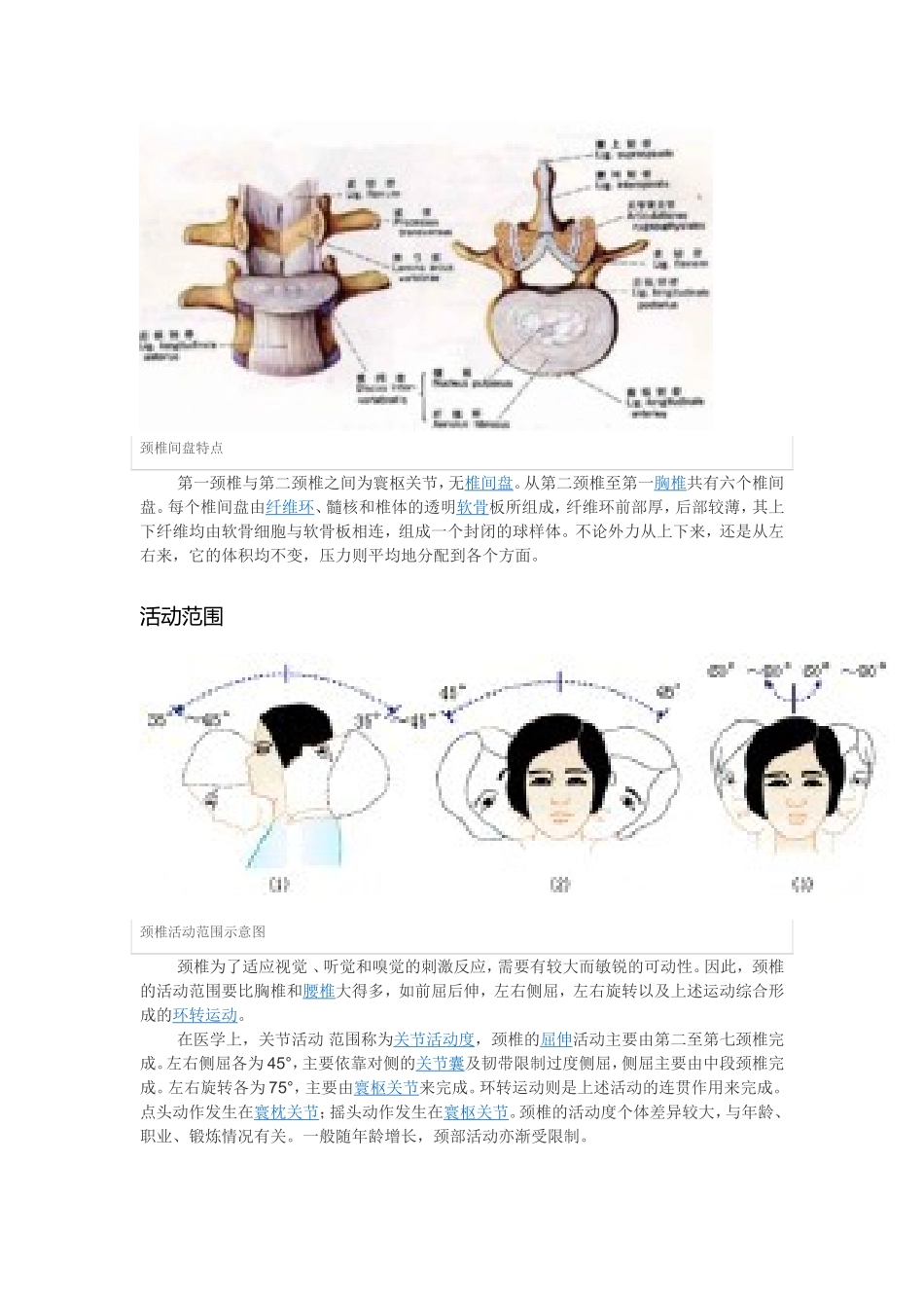 颈椎病的生理和解剖_第3页
