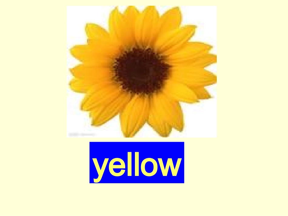 小学三年级上册英语Unit2_colours1课件_第3页