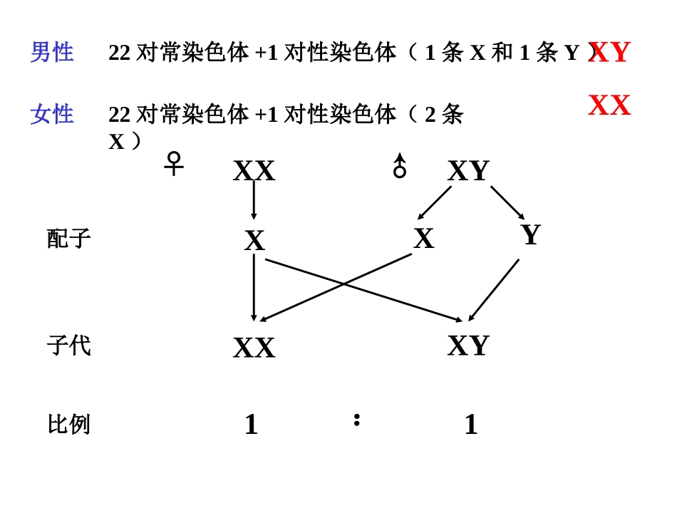 孩而受到丈夫的责难,你能为她们辩护吗？现代医学统计表明色盲男_第3页