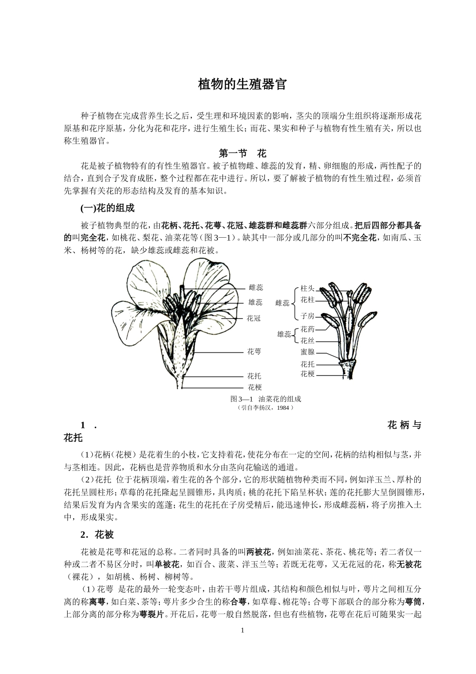 花、果实、种子_第1页