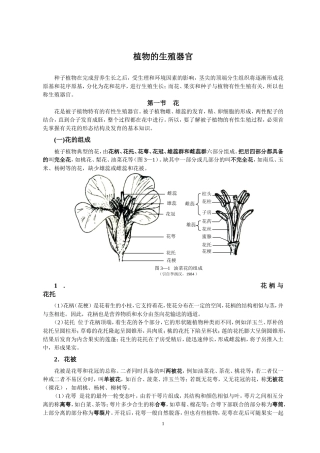 花、果实、种子