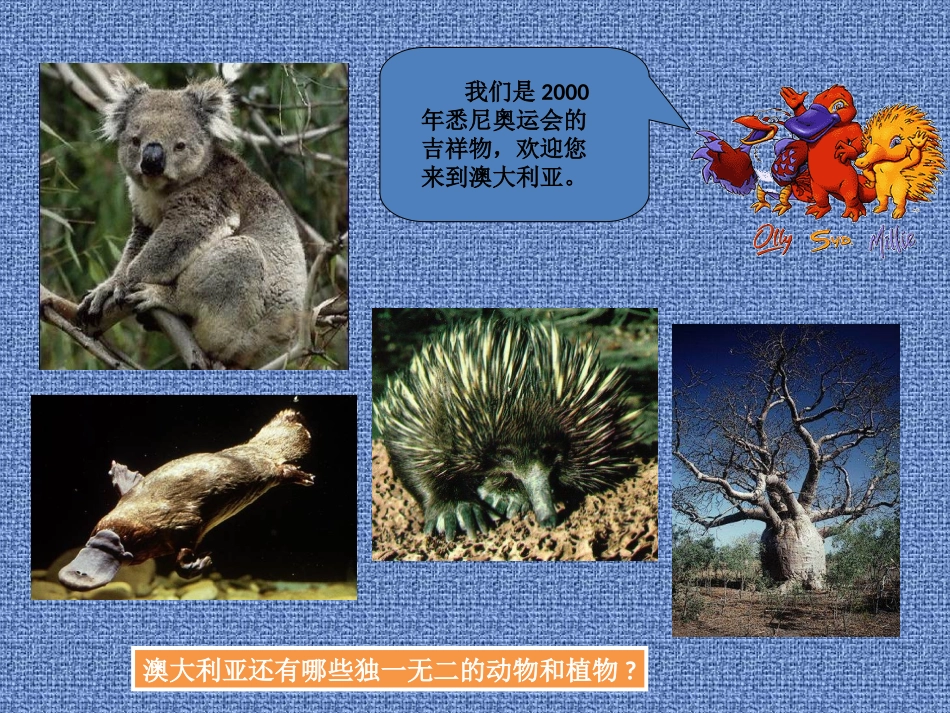 澳大利亚_地理课件_第3页