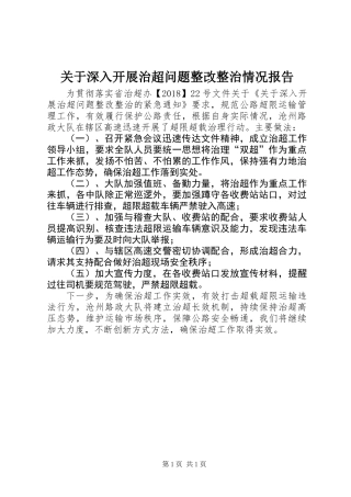 关于深入开展治超问题整改整治情况报告