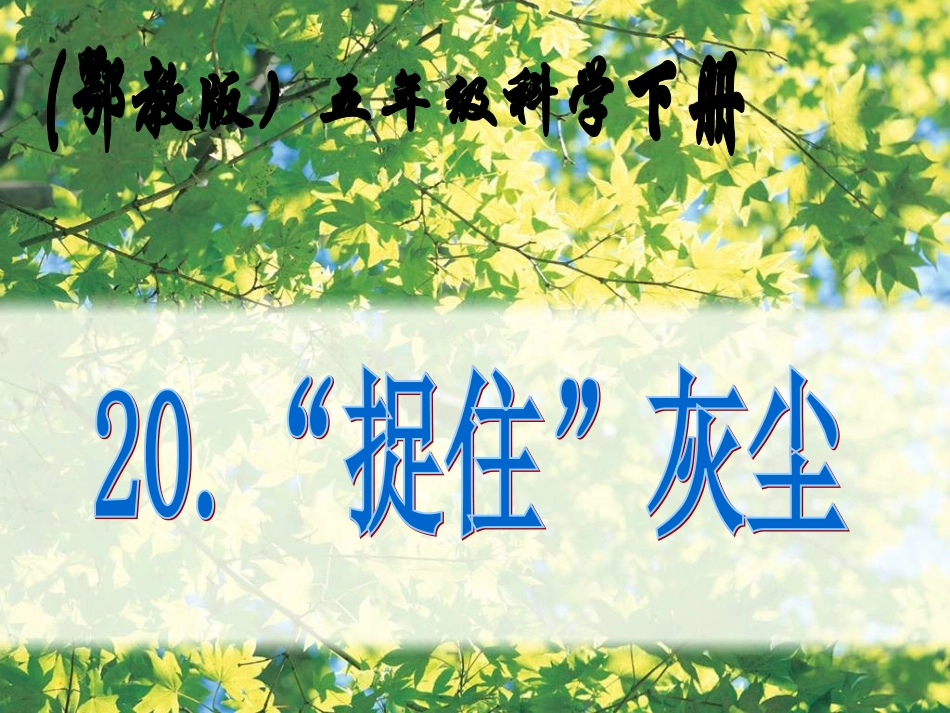 五年级下册捉住灰尘_第1页