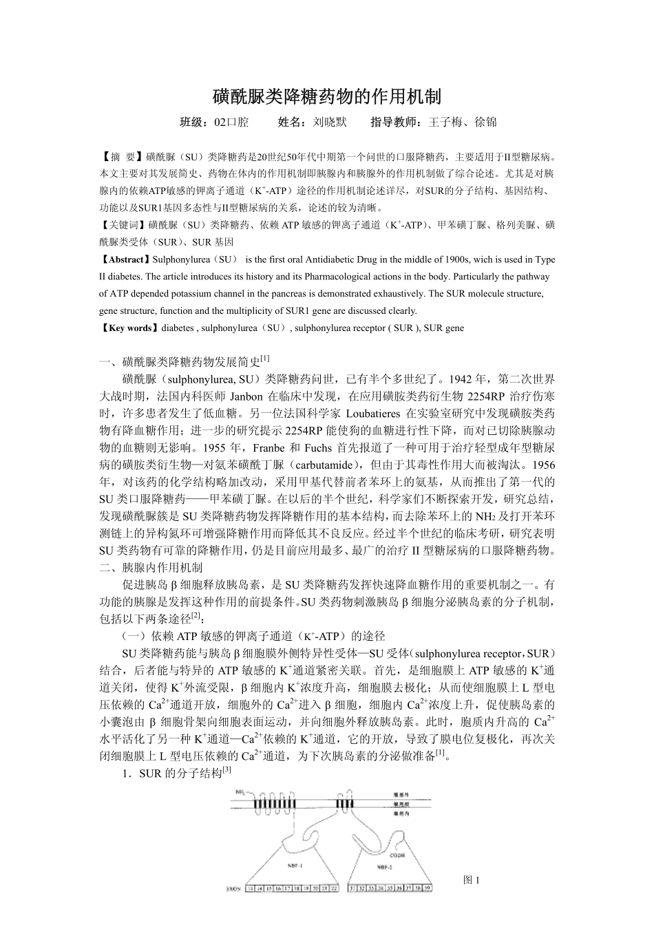 磺酰脲类降糖药物的作用机制_第1页