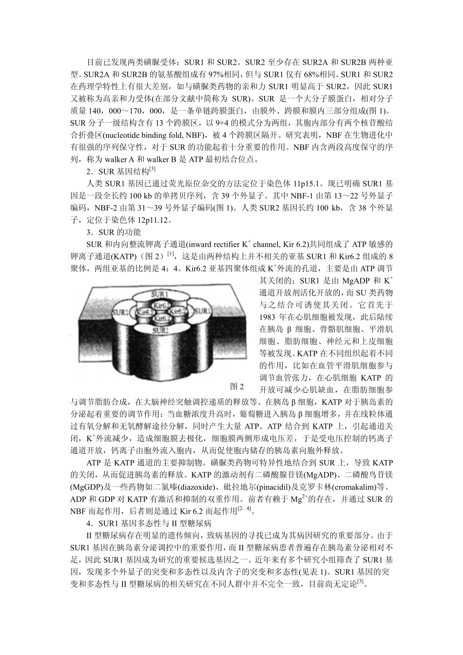 磺酰脲类降糖药物的作用机制_第2页