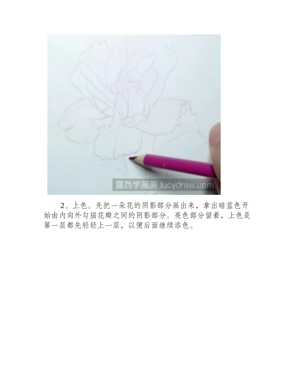 木槿花彩铅画步骤彩铅画教程_第2页