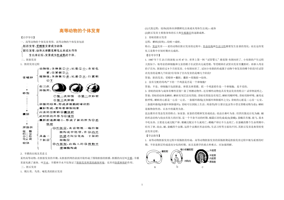 高等动物的个体发育_第1页