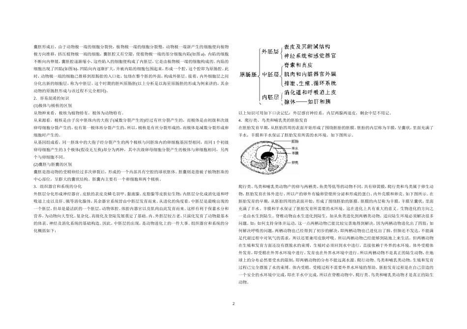 高等动物的个体发育_第2页