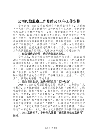 公司纪检监察工作总结及XX年工作安排