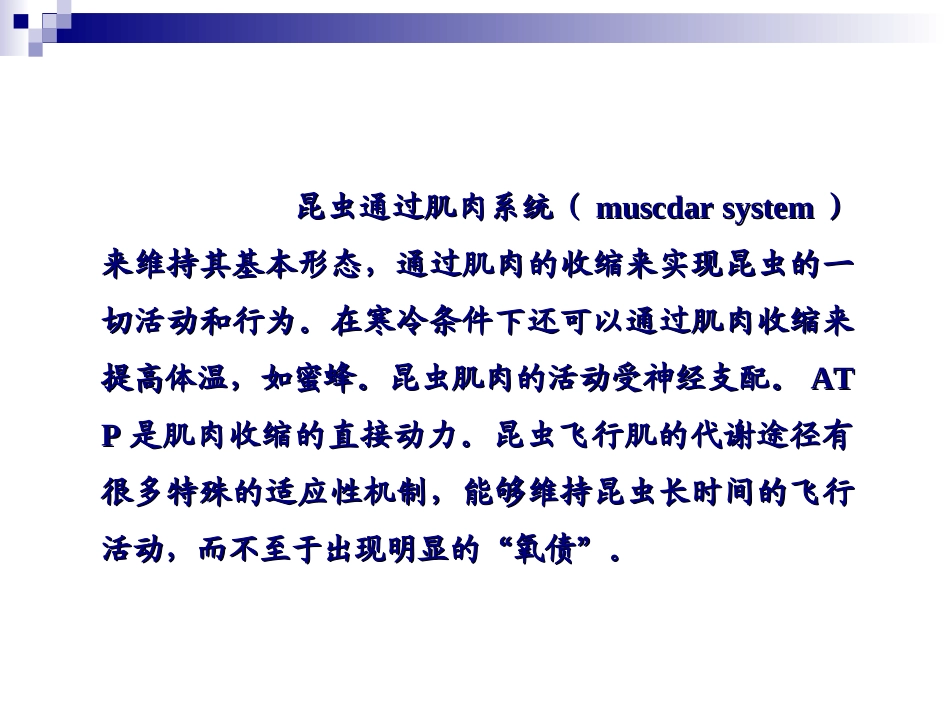 昆虫肌肉系统_第2页