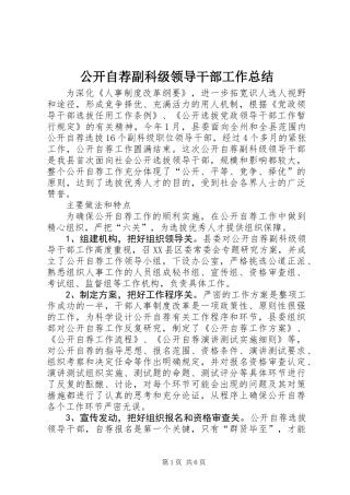 公开自荐副科级领导干部工作总结