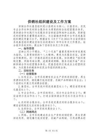 供销社组织建设及工作方案