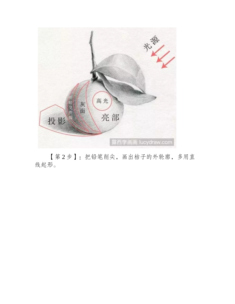橘子素描该怎么画_绘画时要注意什么_素描教程_第2页