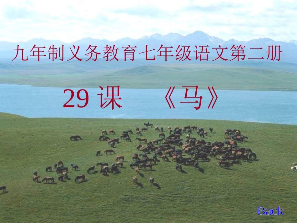 马-ashuige--图片丰富（19张）_第1页
