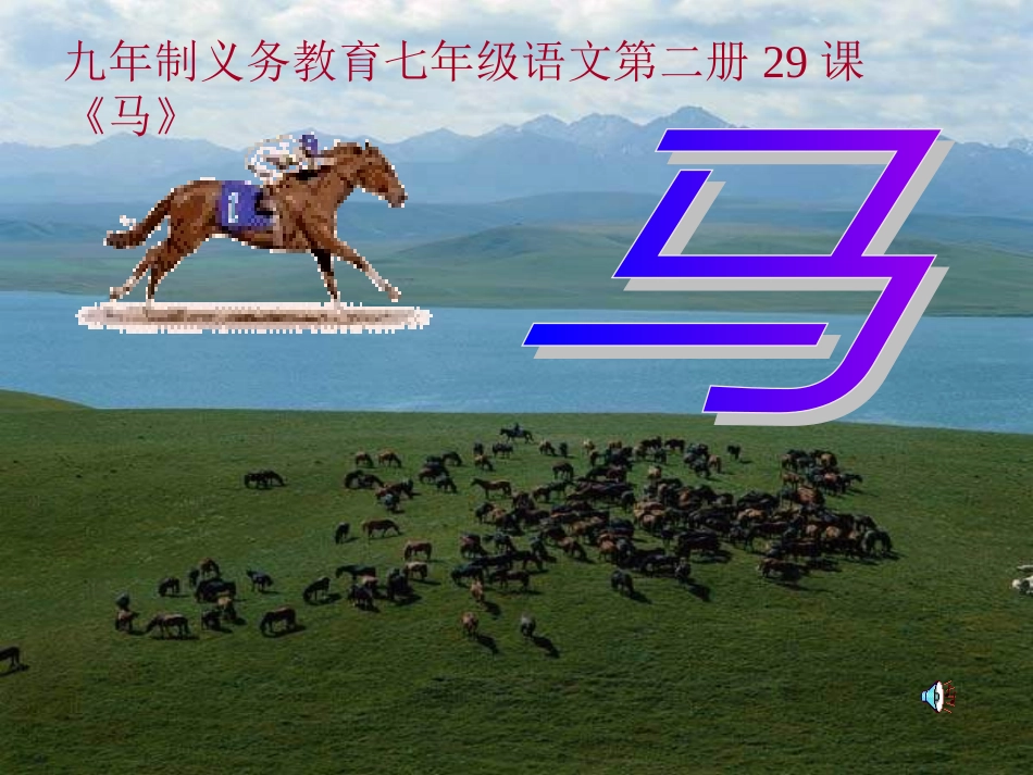 马-ashuige--图片丰富（19张）_第2页