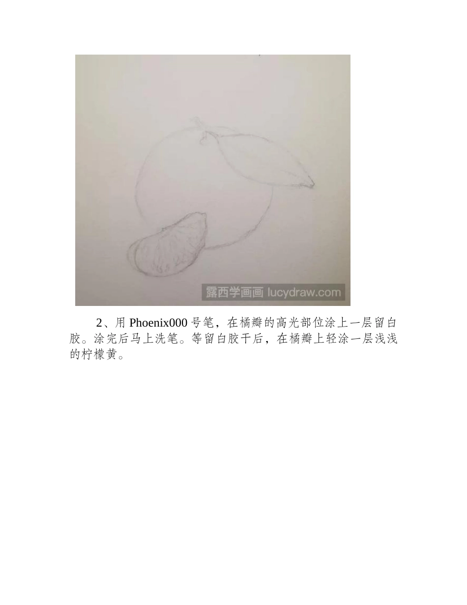 橘子水彩画怎么画_水彩画练习步骤分享水彩画教程_第2页