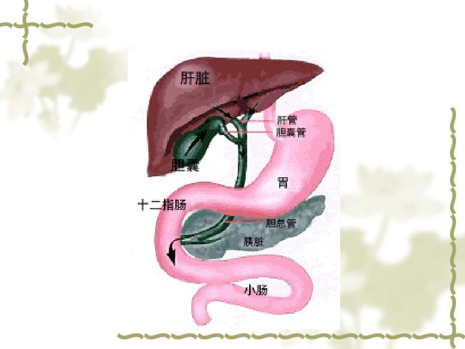 肝胆胰疾病饮食_第2页