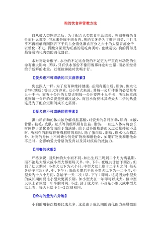 管教狗狗的方法