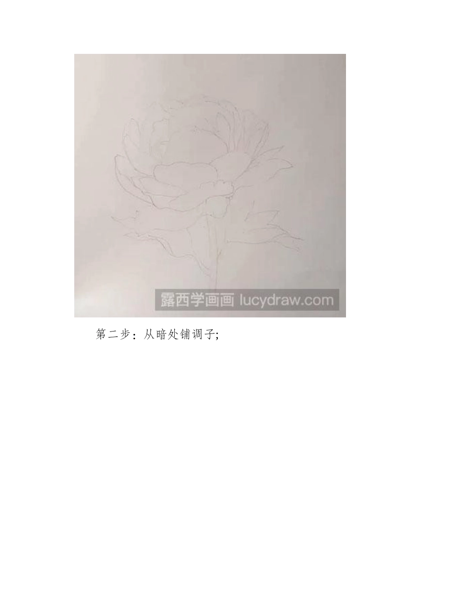 牡丹彩铅画画法教程彩铅画教程1_第2页