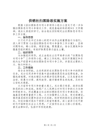 供销社扫黑除恶实施方案
