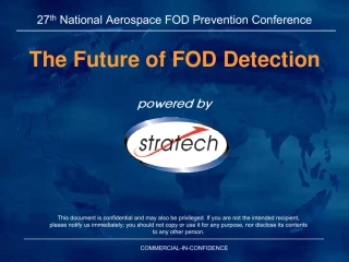 机场跑道异物检测