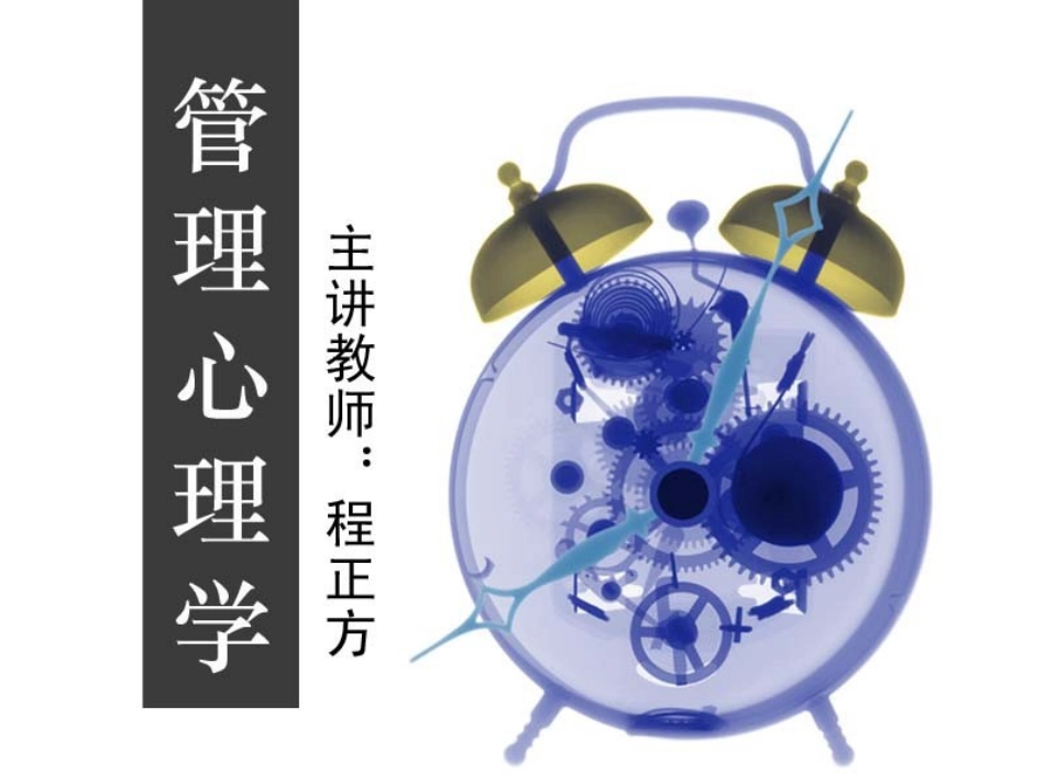 管理心理学 动机与目标之间的关系_第1页