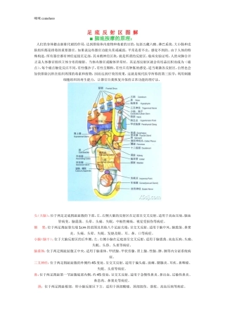 脚底按摩穴位图、按摩方法及正常反应