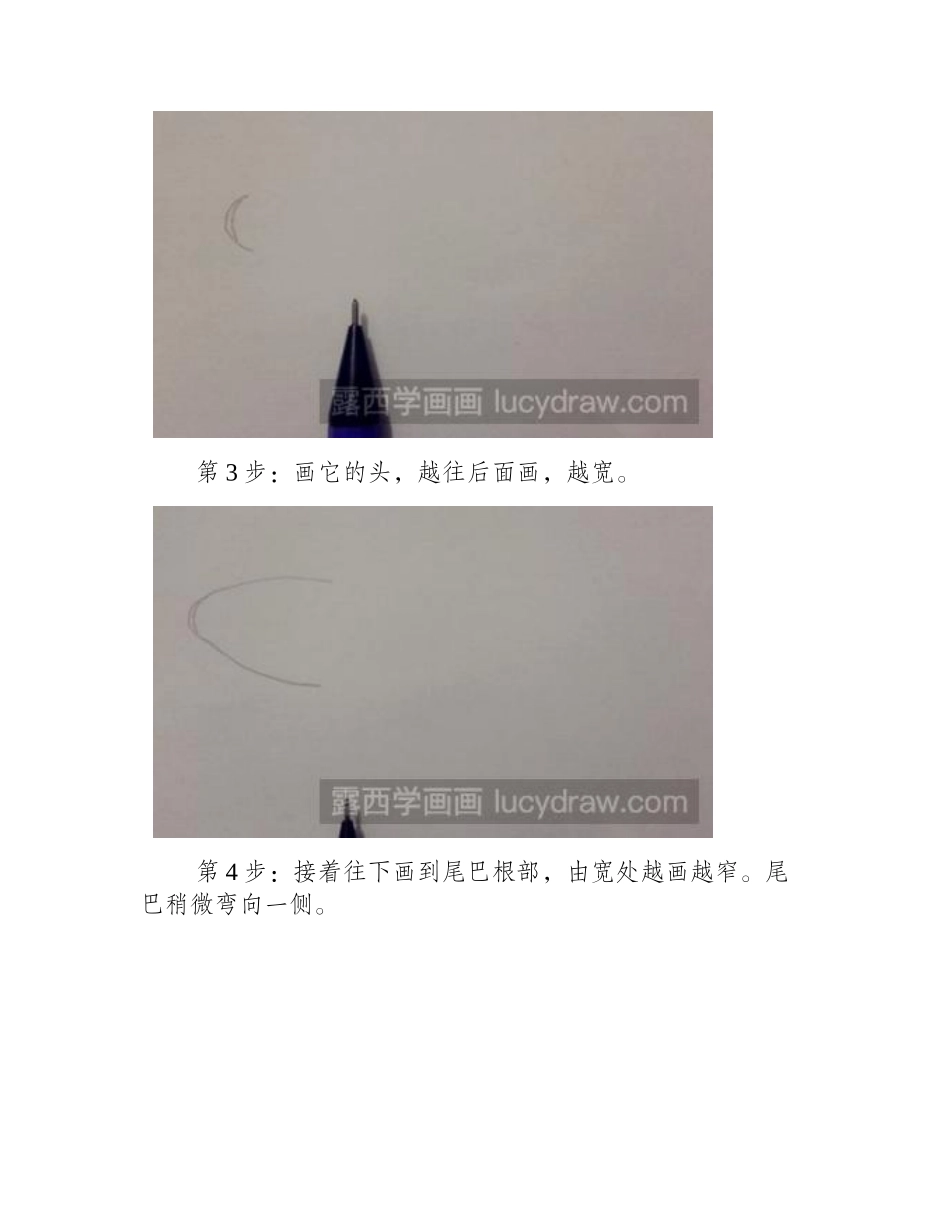 锦鲤彩铅画教程彩铅画教程_第2页