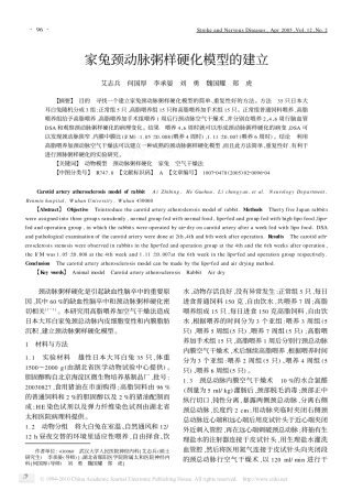 家兔颈动脉粥样硬化模型的建立
