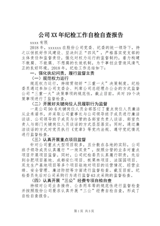 公司XX年纪检工作自检自查报告