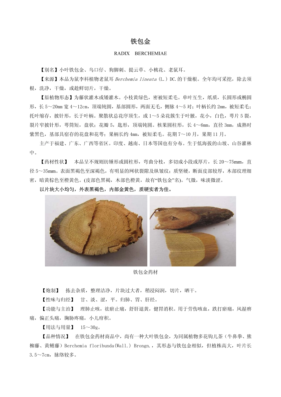 根及根茎3PDF_第1页