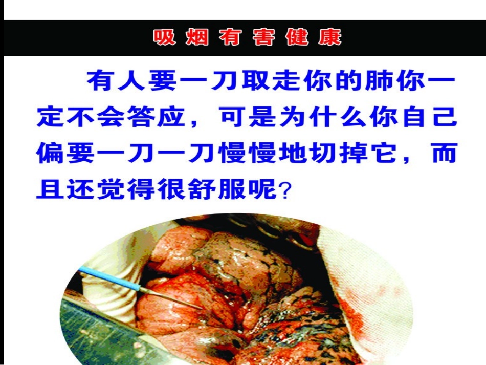 《吸烟有害健康》主题班会课件[1]_第3页